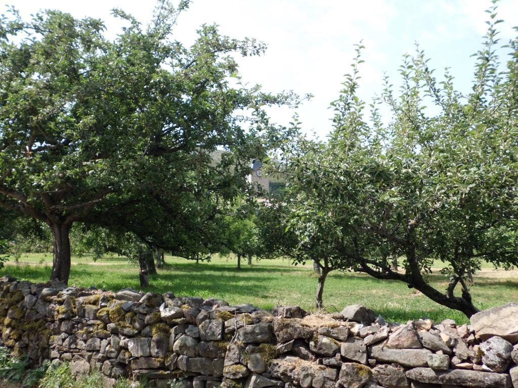 Casa Rural La Altanera Barniedo de la Reina Eksteriør bilde